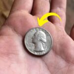 Rare Bicentennial Quarter