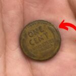 Lincoln Wheat Penny